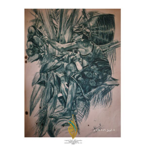 Aseel Al-Hully – Palm tree climber
